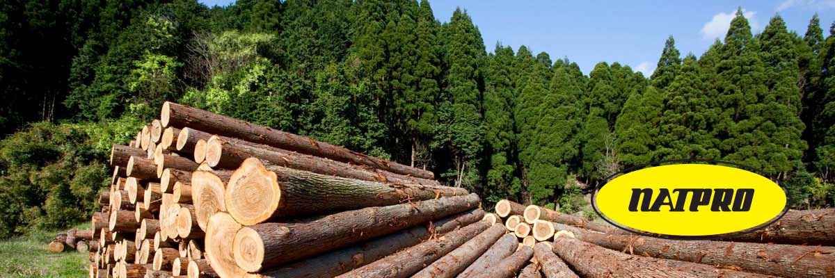 Forestry workers: are you wearing the right protective pants?