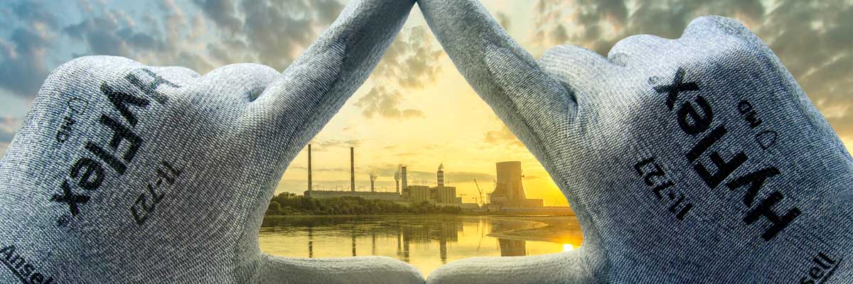 Focus on Safety with the Ansell Guardian Program