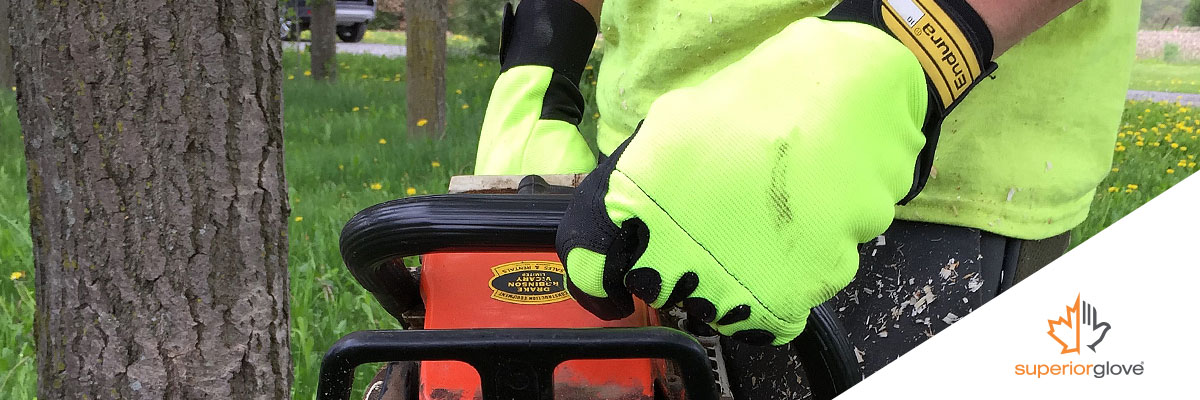 Three characteristics to look out for in chainsaw gloves